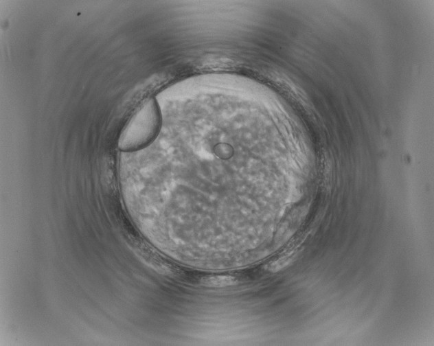 X0000070360361200607072109