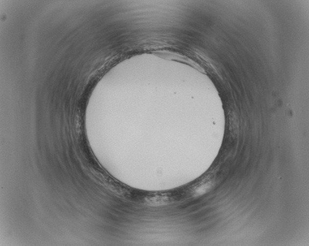 X0000070360362200607072109