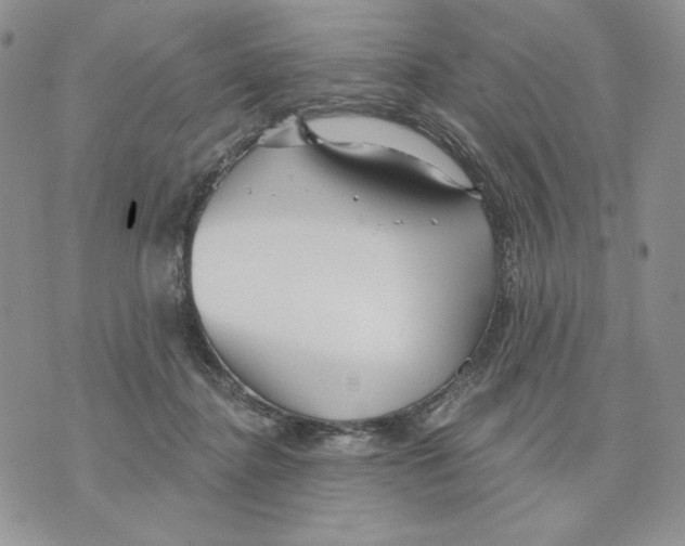 X0000070360364200607072109