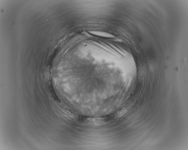 X0000070360367200607072109