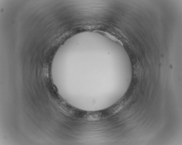 X0000070360368200607072109