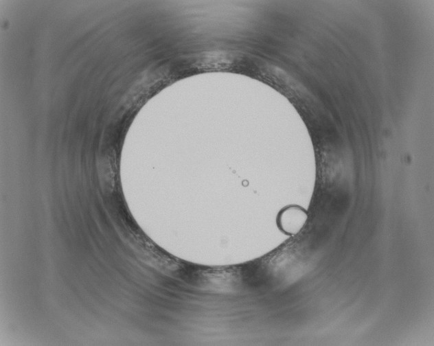 X0000070360370200607072109