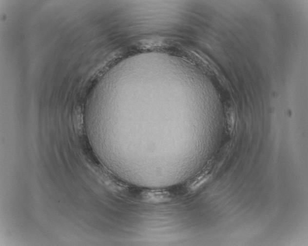 X0000070360372200607072109