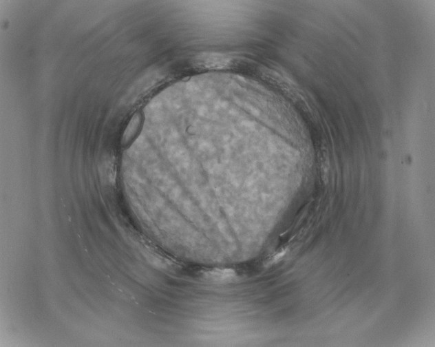 X0000070360374200607072109