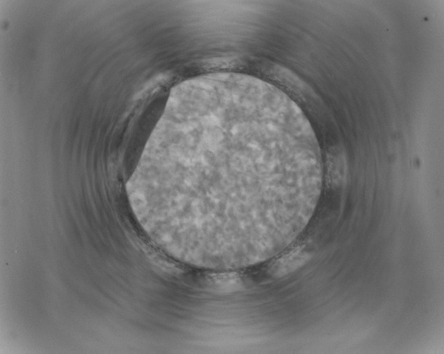 X0000070360377200607072109