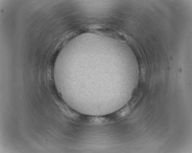 X0000070360379200607072109