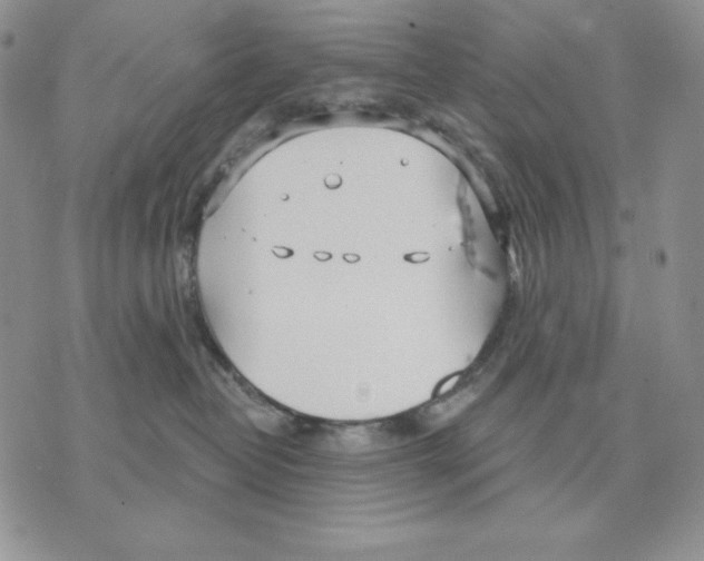 X0000070360382200607072109