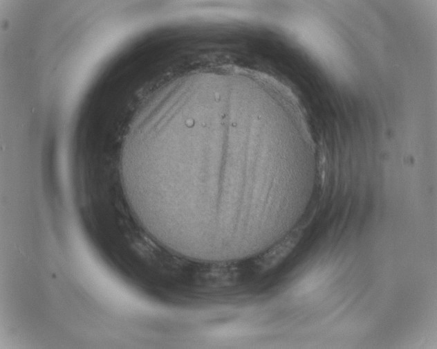 X0000070360383200607072109