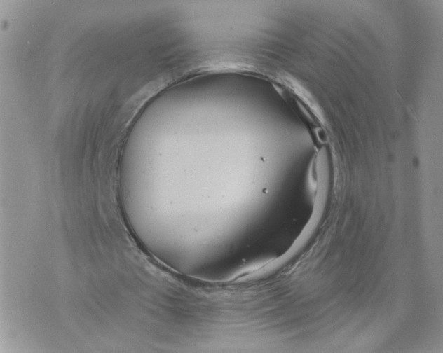 X0000070360385200607072108