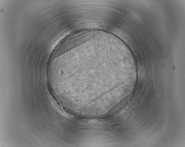 X0000070360390200607072108