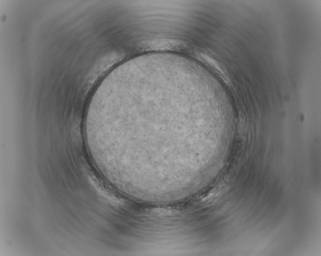 X0000070360394200607072108