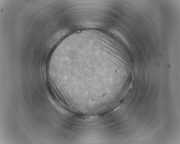 X0000070360398200607072108