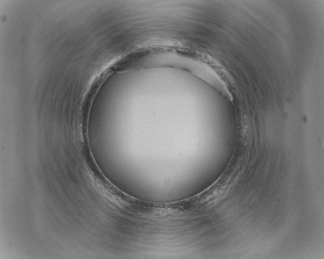 X0000070360399200607072108