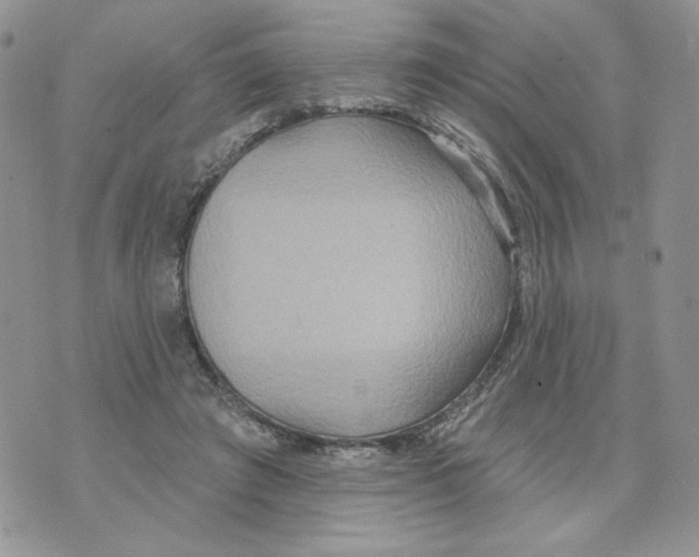 X0000070360401200607072108