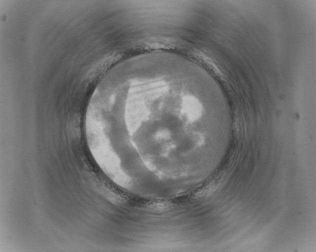 X0000070360402200607072108