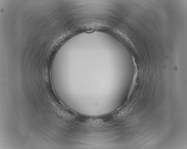 X0000070360403200607072108