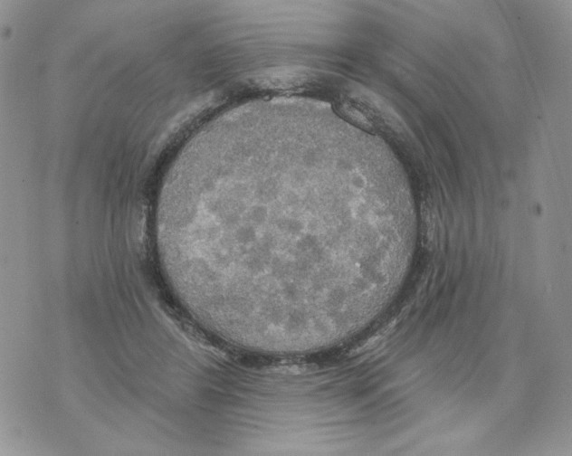 X0000070360404200607072108