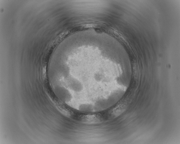 X0000070360406200607072108