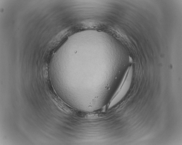 X0000070360413200607072108