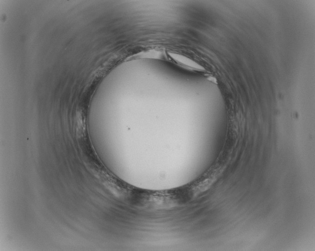 X0000070360420200607072108