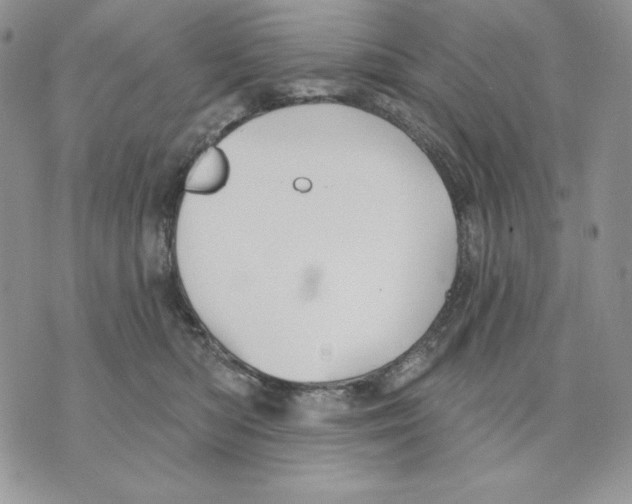 X0000070360422200607072108