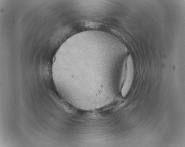 X0000070360424200607072108