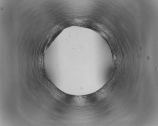 X0000070360425200607072108