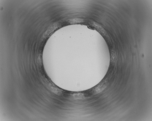 X0000070360426200607072108