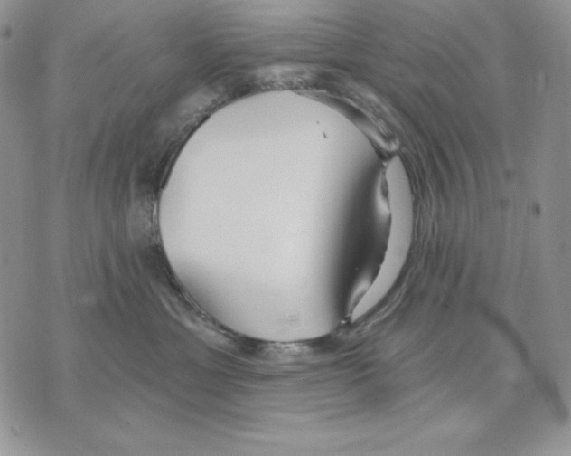 X0000070360429200607072108