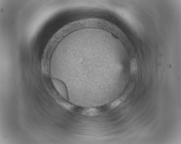 X0000070360431200607072108