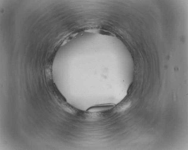 X0000070360432200607072108