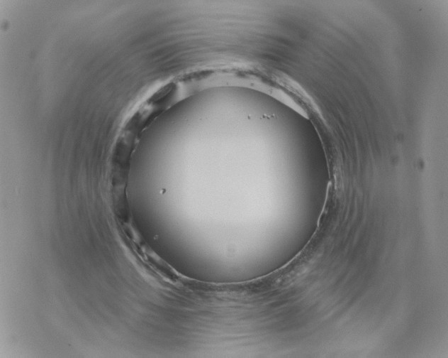 X0000070360436200607072107