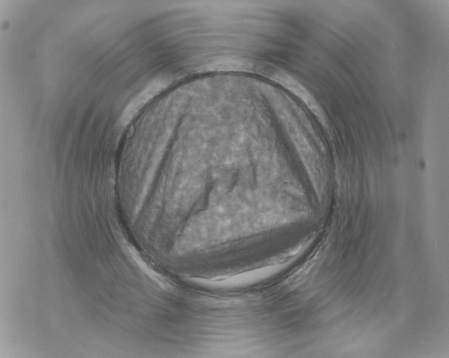 X0000070360437200607072107