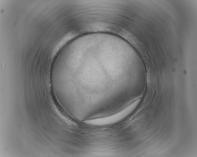 X0000070360438200607072107