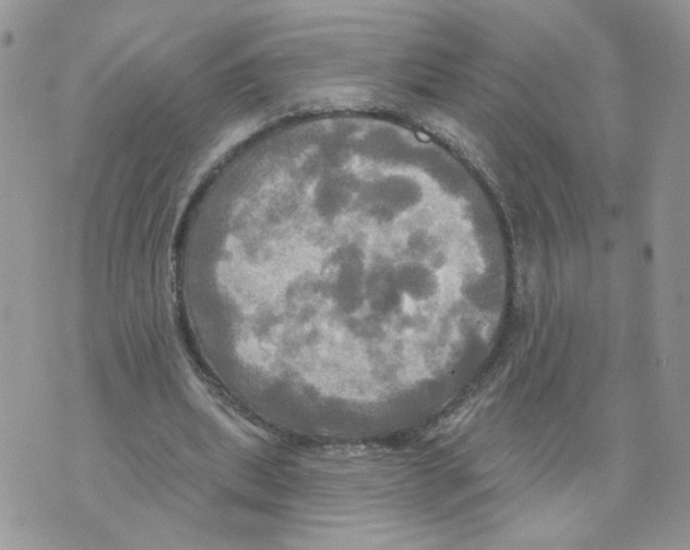 X0000070360439200607072107