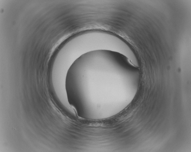 X0000070360440200607072107