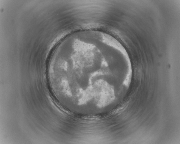 X0000070360443200607072107