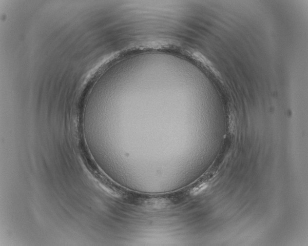 X0000070360444200607072107