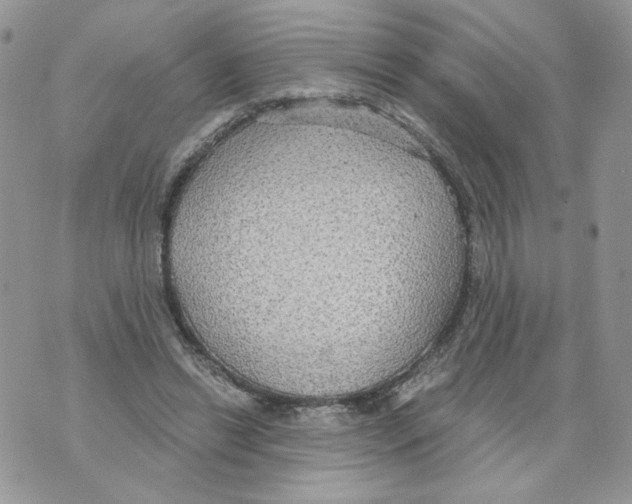 X0000070360446200607072107