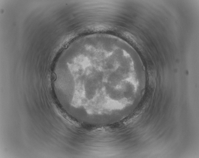 X0000070360447200607072107