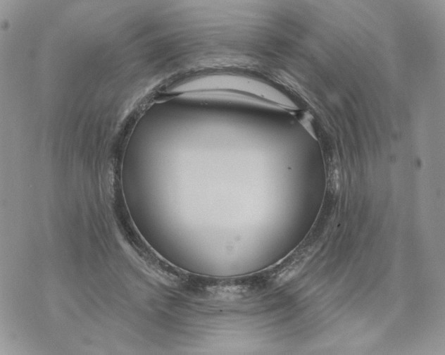 X0000070360448200607072107