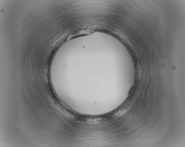 X0000070360450200607072107