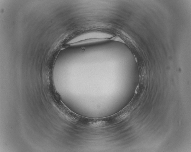 X0000070360452200607072107