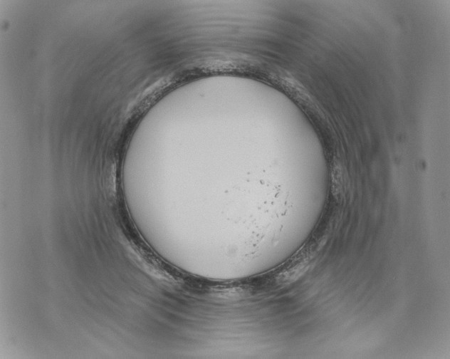 X0000070360454200607072107