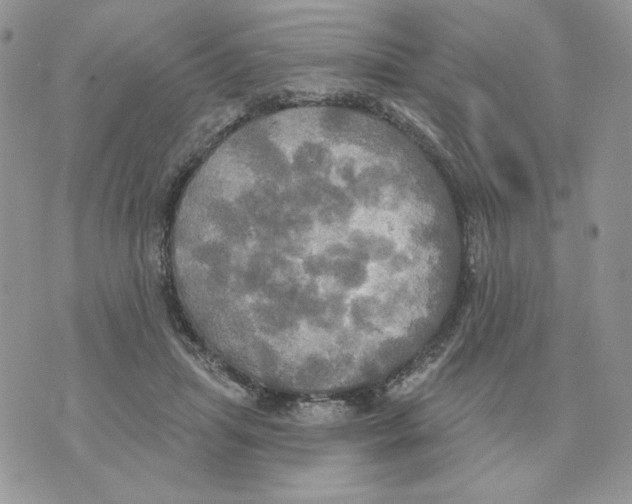 X0000070360455200607072107