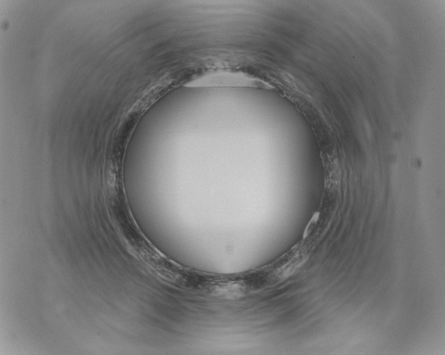 X0000070360456200607072107