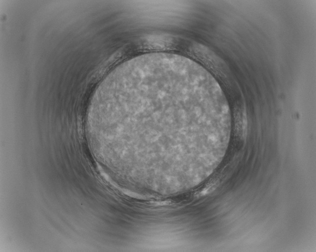 X0000070360457200607072107