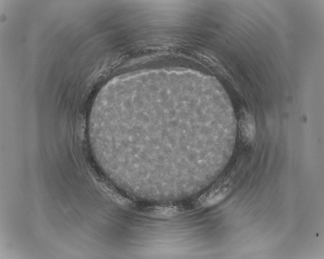 X0000070360458200607072107