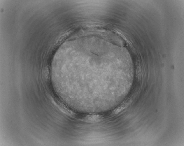 X0000070360459200607072107