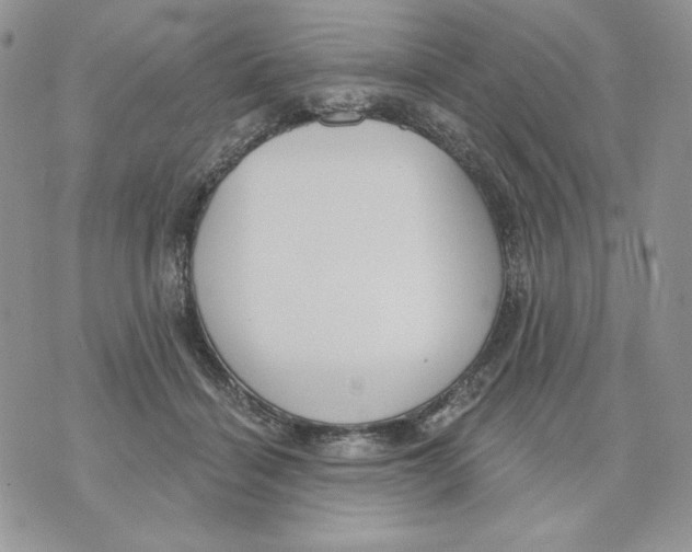 X0000070360460200607072107